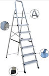 Profal Ladder Aluminum with 4+1 Steps 174pcs