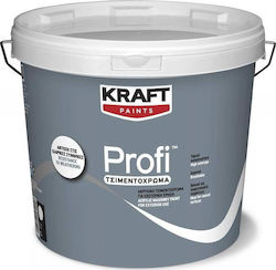 Kraft Profi Betonfarbe