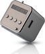 Forever MF-100 Tragbares Radio mit USB Silber