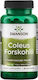 Swanson Coleus Forskohlii 400мг 60 капси
