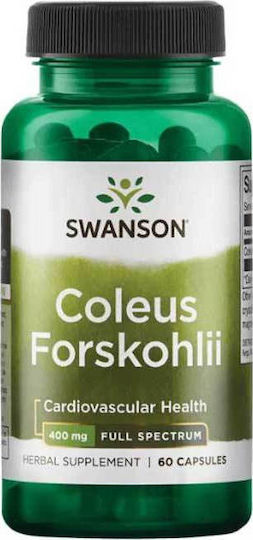 Swanson Coleus Forskohlii 400мг 60 капси