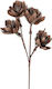 Espiel Artificial Plant Brown 1pcs LOL403K6