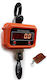 Electronic Professional Hanging Scale with Weighing Capacity of 3000kg and Division 1000gr