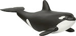 Schleich-S Миниатюрна Играчка Baby Orca за 3-8 Години 3.8см. (Различни дизайни) 1 бр