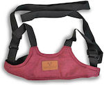 Cangaroo Safety Harness Lauflernhilfe mit Stützriemen für 6++ Monate Rot