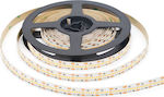 Optonica Ταινία LED Τροφοδοσίας 24V με Θερμό Λευκό Φως Μήκους 5m και 240 LED ανά Μέτρο Τύπου SMD2216
