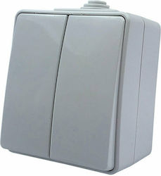 Aca External Electrical Lighting Wall Switch with Frame Basic Aller Retour Waterproof Gray 1000430306