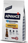 Affinity Advance Sensitive 12kg Ξηρά Τροφή χωρίς Γλουτένη για Ενήλικους Σκύλους με Αρνί και Ρύζι