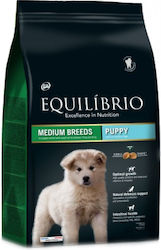 Equilibrio Puppy Medium 2kg Equilibrio Puppy Medium 2kg