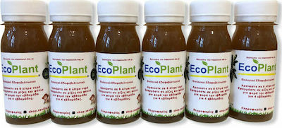 4 τεμάχια EcoPlant® των 60 ml + 2 δώρο! – 19,90€ μαζί με τα μεταφορικά κόστη