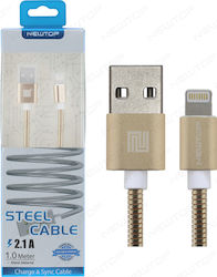 Newtop Stainless USB to Lightning Cable Χρυσό 1m (CU11)