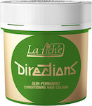 La Riche Directions Hair Color Vopsea Temporară Primăvara verde 88ml