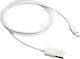 Canyon USB 2.0 Кабел USB-C Мъжки - USB-A 5W Бял 1м CNE-USBC1W
