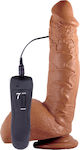 Ns Novelties Shane Diesel Vibrating Dong Realistic Vibrator 25cm Carne