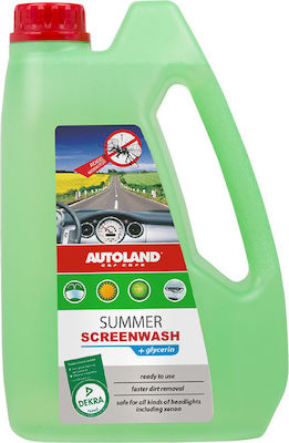 Autoland Cleaner Liquid Car Windows 2lt 306312099