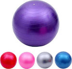 E-Fit Fitball Pilates Ball 65cm 1.5kg Purple