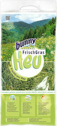Bunny Nature Gras für Meerschweinchen / Hase / Hamster Freshgrass Hay 750gr BU71115