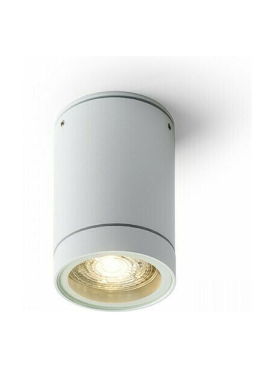 Rendl Light Studio Sammy Outdoor Ceiling Spot GU10 in Gray Color R13451