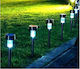 Set of 10 Stake Solar Lights with Cold White Light 21cmx4.5cmcm