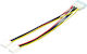 LogiLink 4-Pin Molex - 4-Pin Molex Cable 0.15m Πολύχρωμο CP0002
