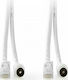 Nedis Kabel Koaxialer Stecker / RJ45-Stecker - Koaxialbuchse / RJ45-Stecker 1.5m (CSGP4500WT15) 1Stück
