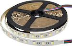 Optonica LED Streifen Versorgung 24V RGB Länge 5m und 60 LED pro Meter SMD5050