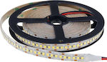 Optonica Waterproof LED Strip Power Supply 12V with Warm White Light Length 5m and 196 LEDs per Meter SMD2835