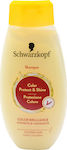 Schwarzkopf Color Protect & Shine Shampoo 350ml