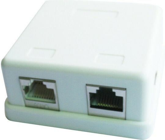 Cablexpert Doppelter Extern Netzwerksteckdose RJ45 Typ Cat5 in Weiß Farbe CAT5e GM-SMB2