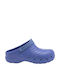 Scholl Work Light Anatomici Sabot Albastre
