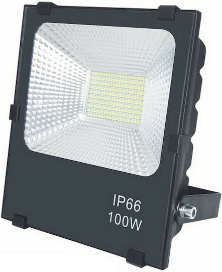 Waterproof LED Floodlight 100W IP66