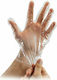 Bournas Medicals Touch Polyethelene Powder Free Disposable Polyethylene Examination Gloves Powder Free Transparent 100pcs