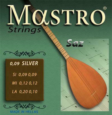 Mastro Set Versilbert Saiten für Akustische Saz 9 - 20"