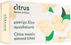 Citrus Marzipan 100gr