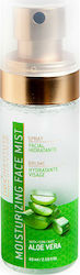 IDC Institute Aloe Vera Gesichts-Spray mit Tonisierung 65ml IDC Institute Aloe Vera Gesichts-Spray mit Tonisierung 65ml