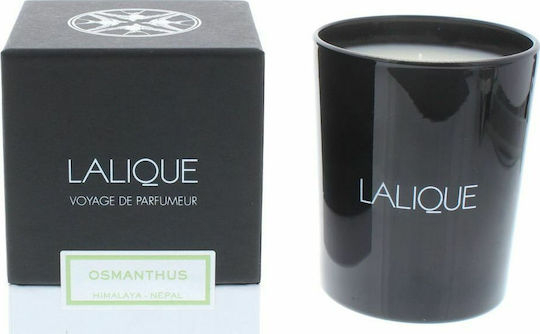 Lalique Aromatic Candle Osmanthus Himalaya Nepal in Jar with Osmanthus Perfume 190g