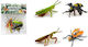 Miniature Toy Mystical Insects for 3+ Years