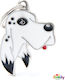 My Family Friends English Setter Hund-Identifik...