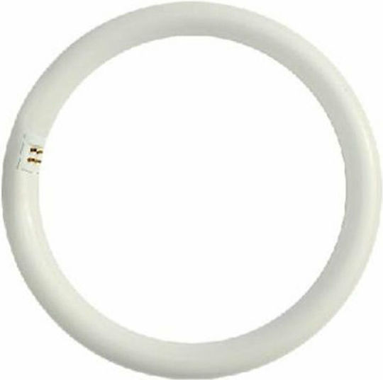 Fos me Lampă Fluorescentă pentru Dulie G10Q cu Formă T9 32W