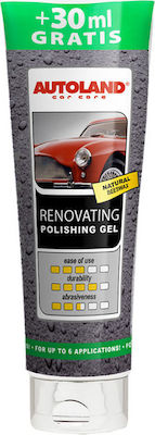 Autoland Ointment Cleaning for Body Renovating Polishing Gel 280ml 130110399