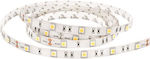 Eurolamp Bandă LED Alimentare 12V cu Lumină Alb Cald Lungime 5m și 60 LED-uri pe Metru SMD5050