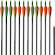 vidaXL Fiberglass Arrows 12pcs