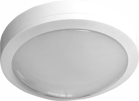 Adeleq Wandmontierte Außen-Deckenleuchte LED IP65 8W mit Warmweiß Licht