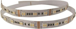 Eurolamp Bandă LED Alimentare 24V RGBWW Lungime 5m și 60 LED-uri pe Metru SMD5050