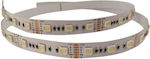 Eurolamp Bandă LED Alimentare 24V RGBWW Lungime 5m și 60 LED-uri pe Metru SMD5050