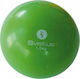 Sveltus Weighted Ball Μπάλα Ενδυνάμωσης Χεριού 12.3cm , 1.5kg σε Πράσινο Χρώμα