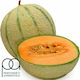 TPA Άρωμα Cantaloupe 10ml 1τμχ