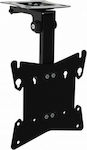 Techly ICA-CPLB 08 ICA-CPLB TV Mount Ceiling with Arm up to 37" and 20kg