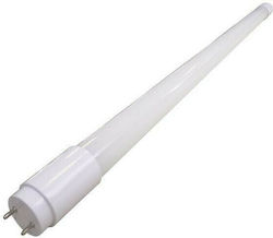 Eurolamp Becuri LED Tip Fluorescent 90cm pentru Soclu G13 și Formă T8 Alb rece 1470lm 1buc