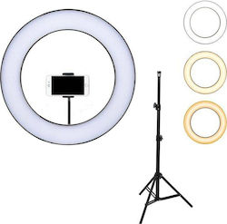 Andowl Ring Light 25cm 2500-4500K με Τρίποδο Δαπέδου και Βάση για Κινητό